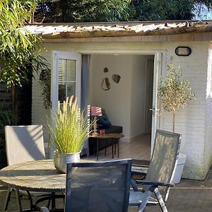 Studio Lief Bergen binnen, bij bos duin en dorp